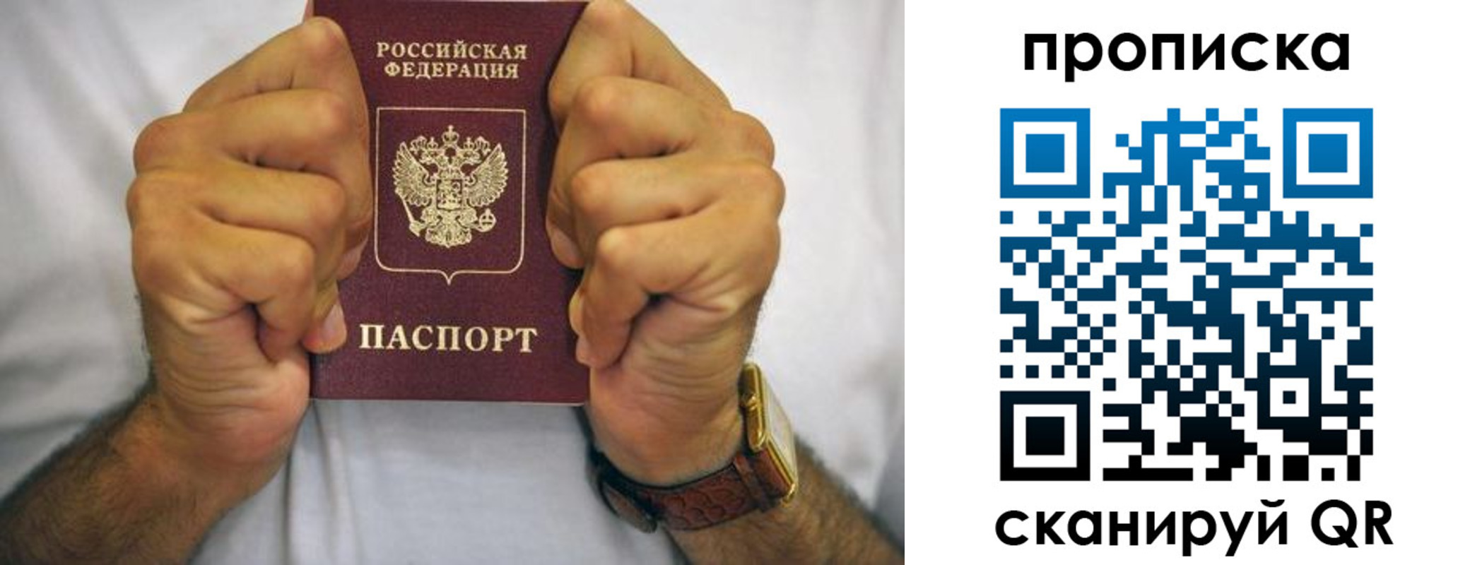 прописка в Кировске